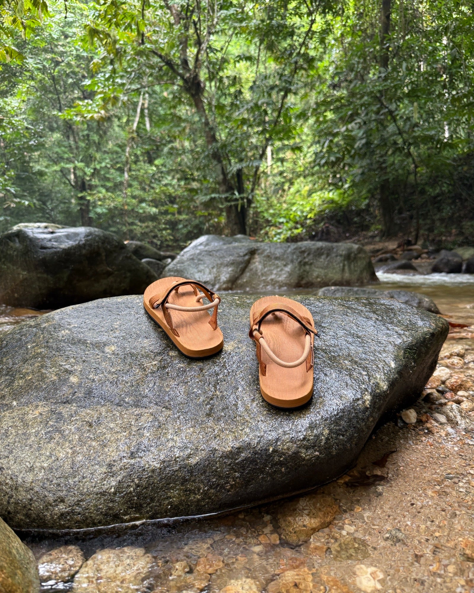 Men's earth brown EXPLOre Roman Sandals on a river rock with a lush tropical rainforest backdrop, the perfect footwear for authentic tropical exploration.