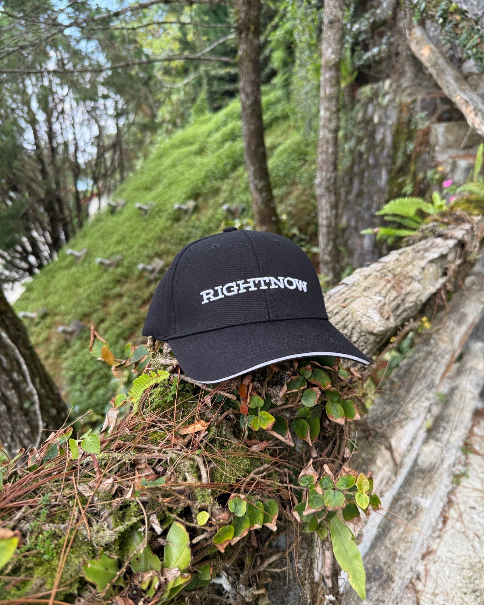 A matt black Ignite RIGHTNOW logo cap placed on a mossy branch in a cool, highland forest, perfect for a simple travel and exploration lifestyle connected with nature.