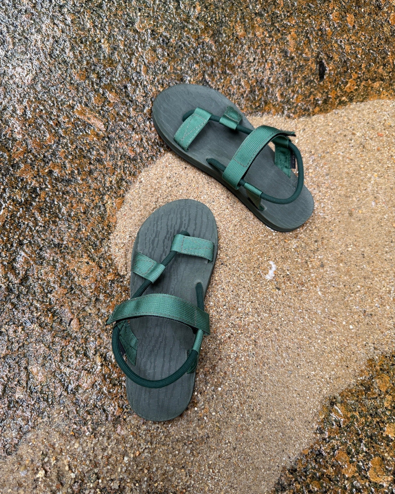 Top-down view of men's forest-tone EXPLOre Roman Sandals on wet, sandy riverside ground, showing their simple design and flexible straps for any natural terrain.